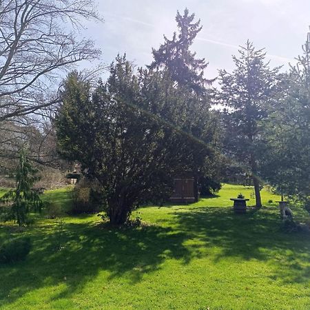 Ferienwohnung Waldblick Bad Dürrheim Exteriör bild