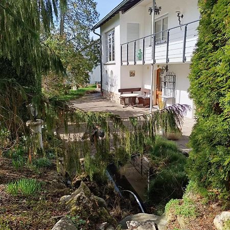 Ferienwohnung Waldblick Bad Dürrheim Exteriör bild