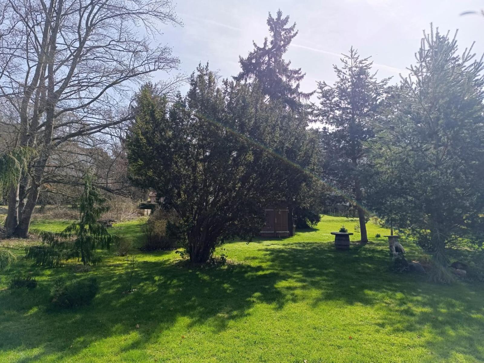 Ferienwohnung Waldblick Bad Dürrheim Exteriör bild